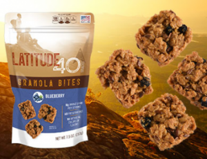 Blueberry Latitude 40 Snacks Granola Bites